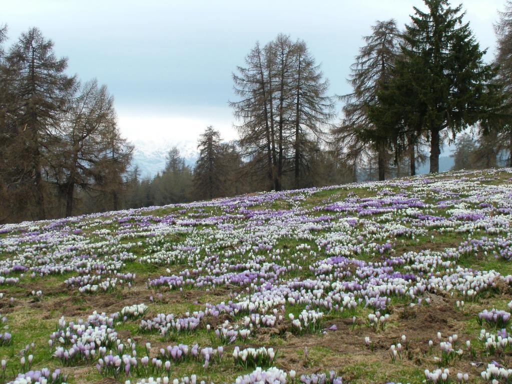 Kastnerhof Villa Meltina Kültér fotó